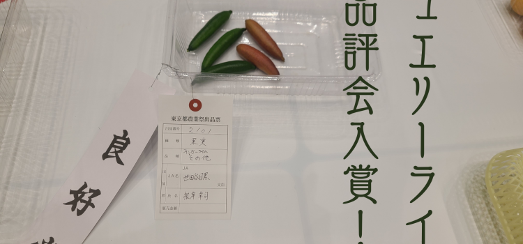 第53回東京都農業祭と目黒区令和6年度秋季農産物品評会で受賞しました